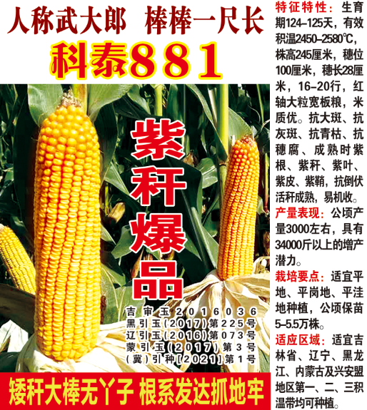 科泰881