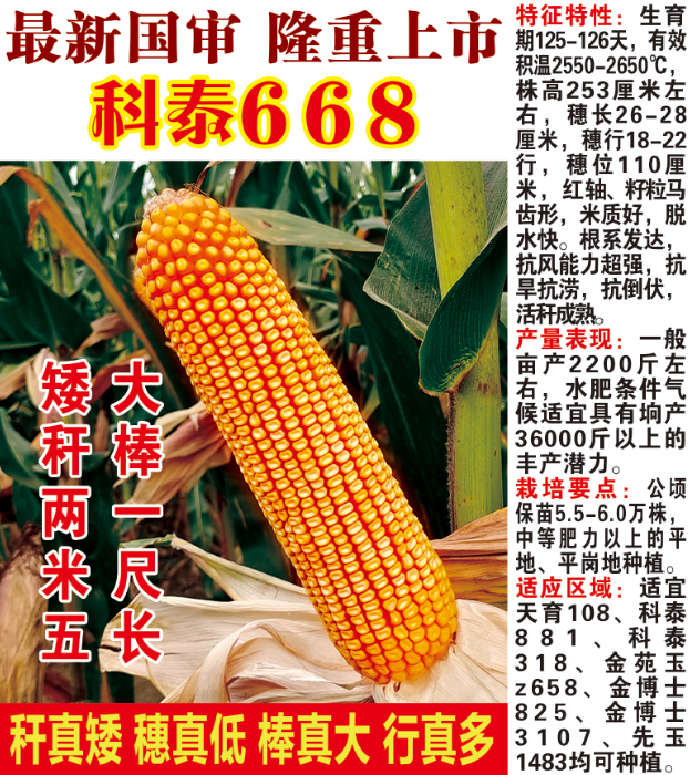 科泰668