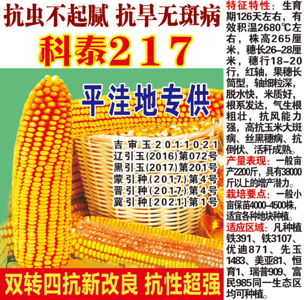 科泰217