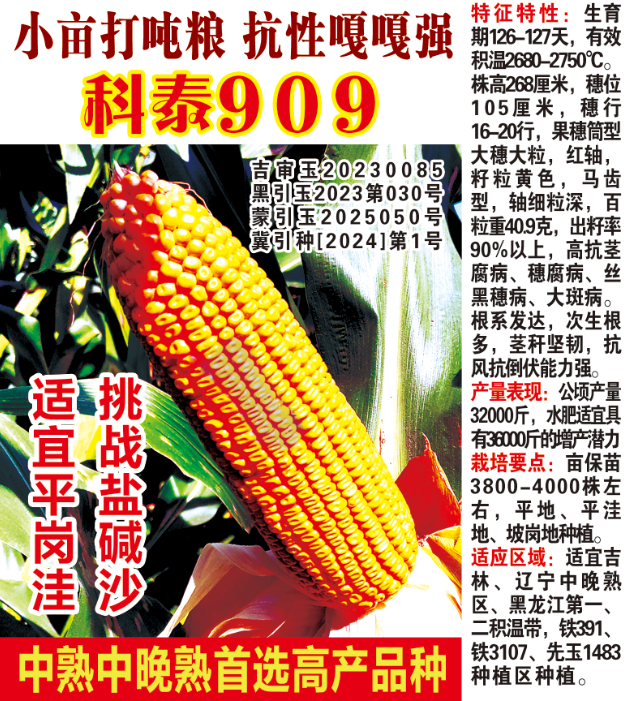 科泰909