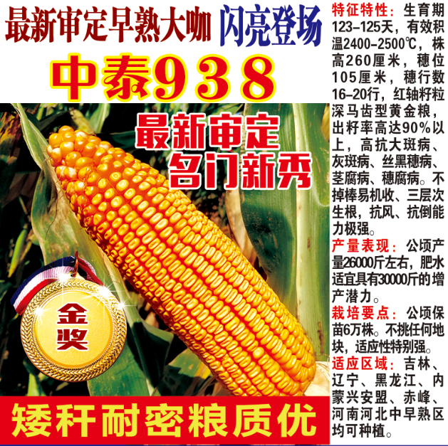 中泰938