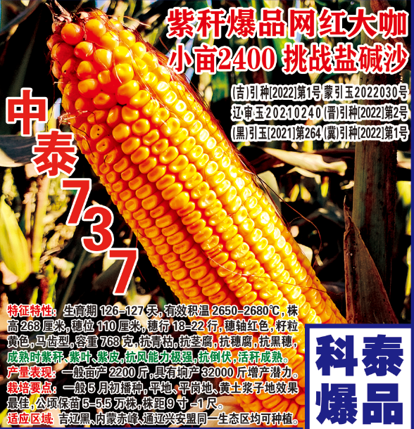 中泰737