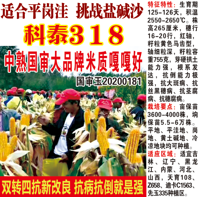 科泰318