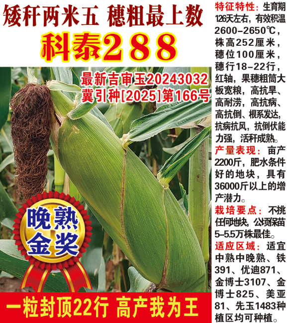 科泰288