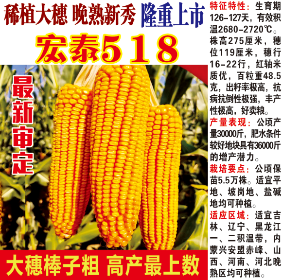 宏泰518